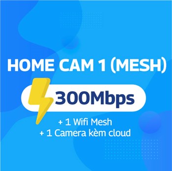 Home CAM 1 (01 Mesh)